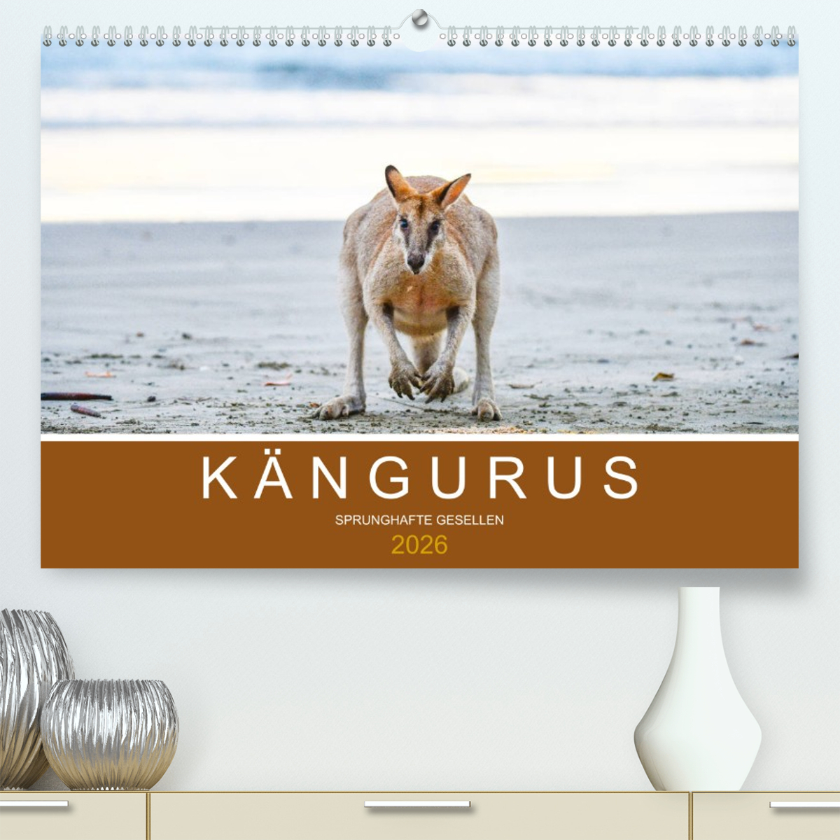Kängurus, sprunghafte Gesellen