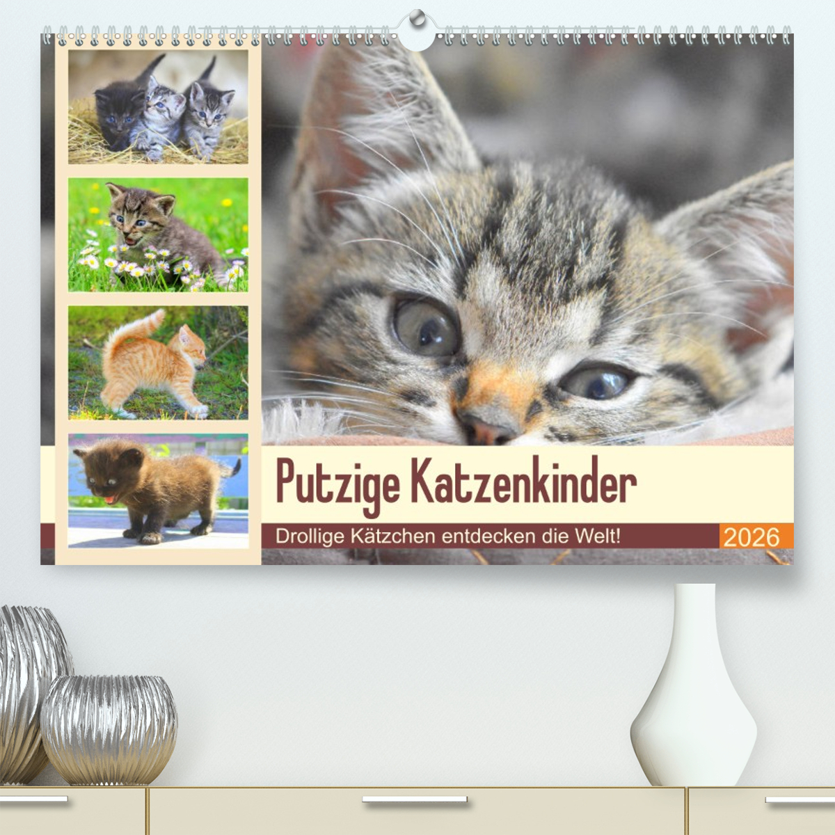 Putzige Katzenkinder. Drollige Kätzchen entdecken die Welt!