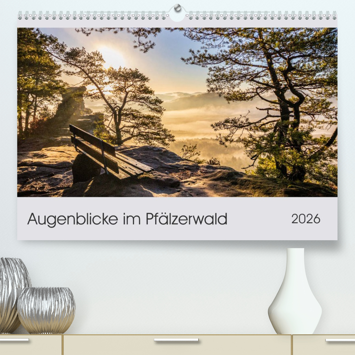 Augenblicke im Pfälzerwald