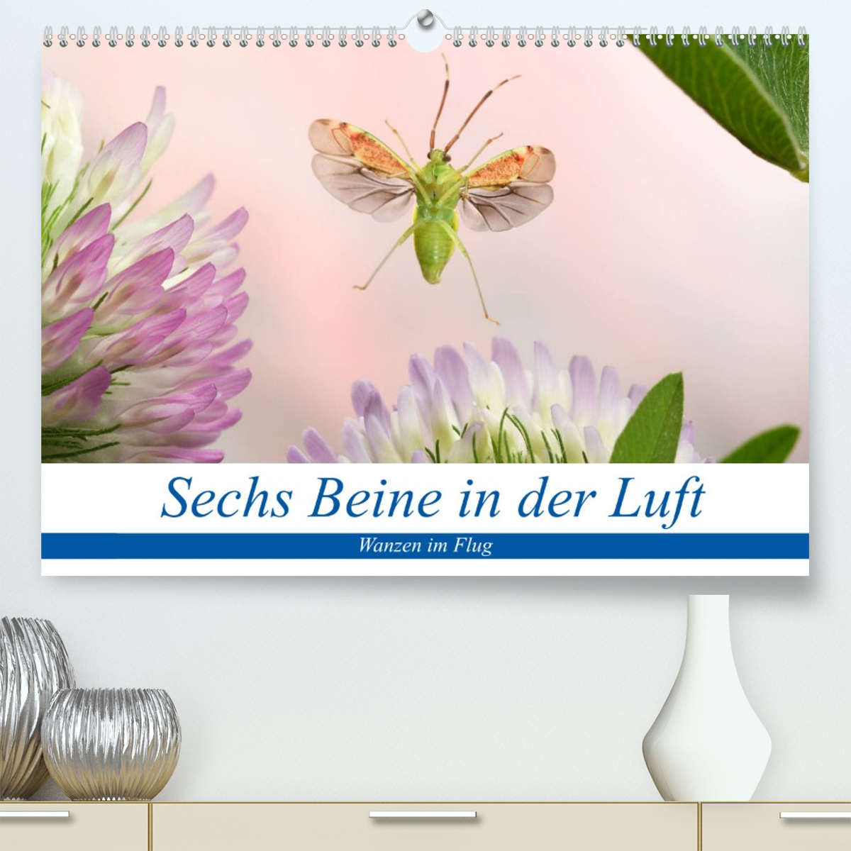 Sechs Beine in der Luft - Wanzen im Flug