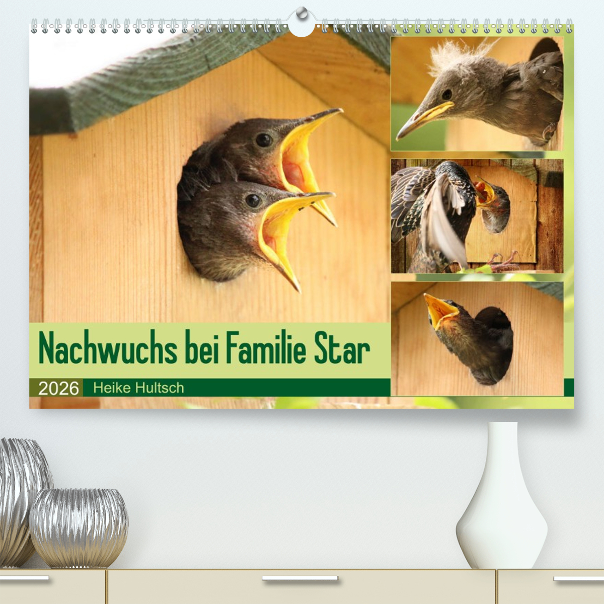 Nachwuchs bei Familie Star