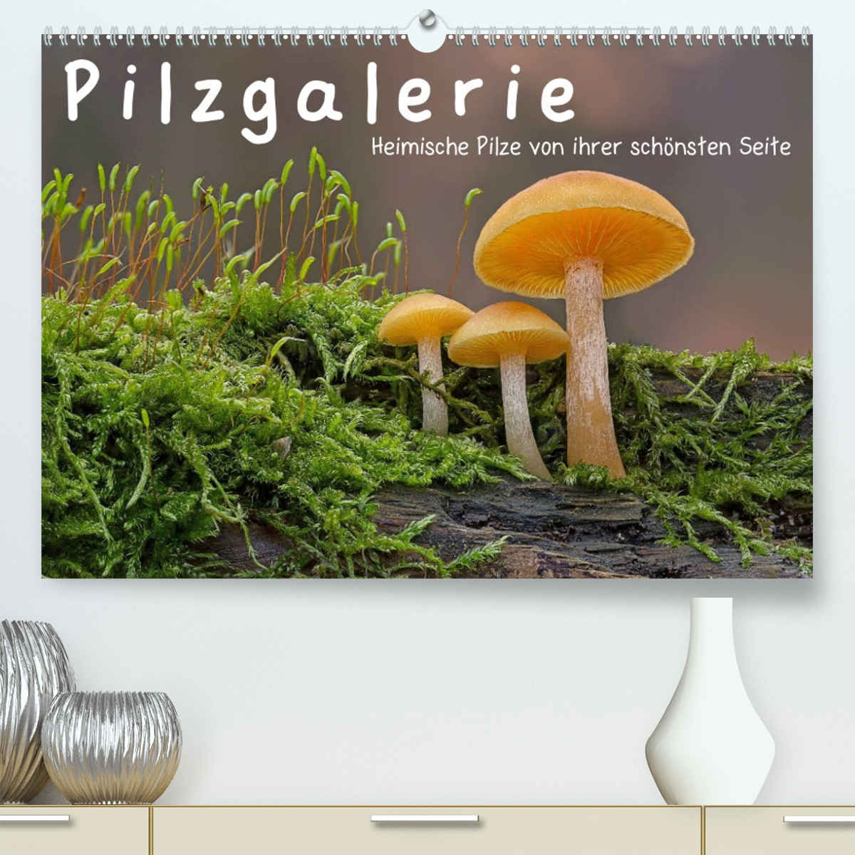 Pilzgalerie - Heimische Pilze von ihrer schönsten Seite