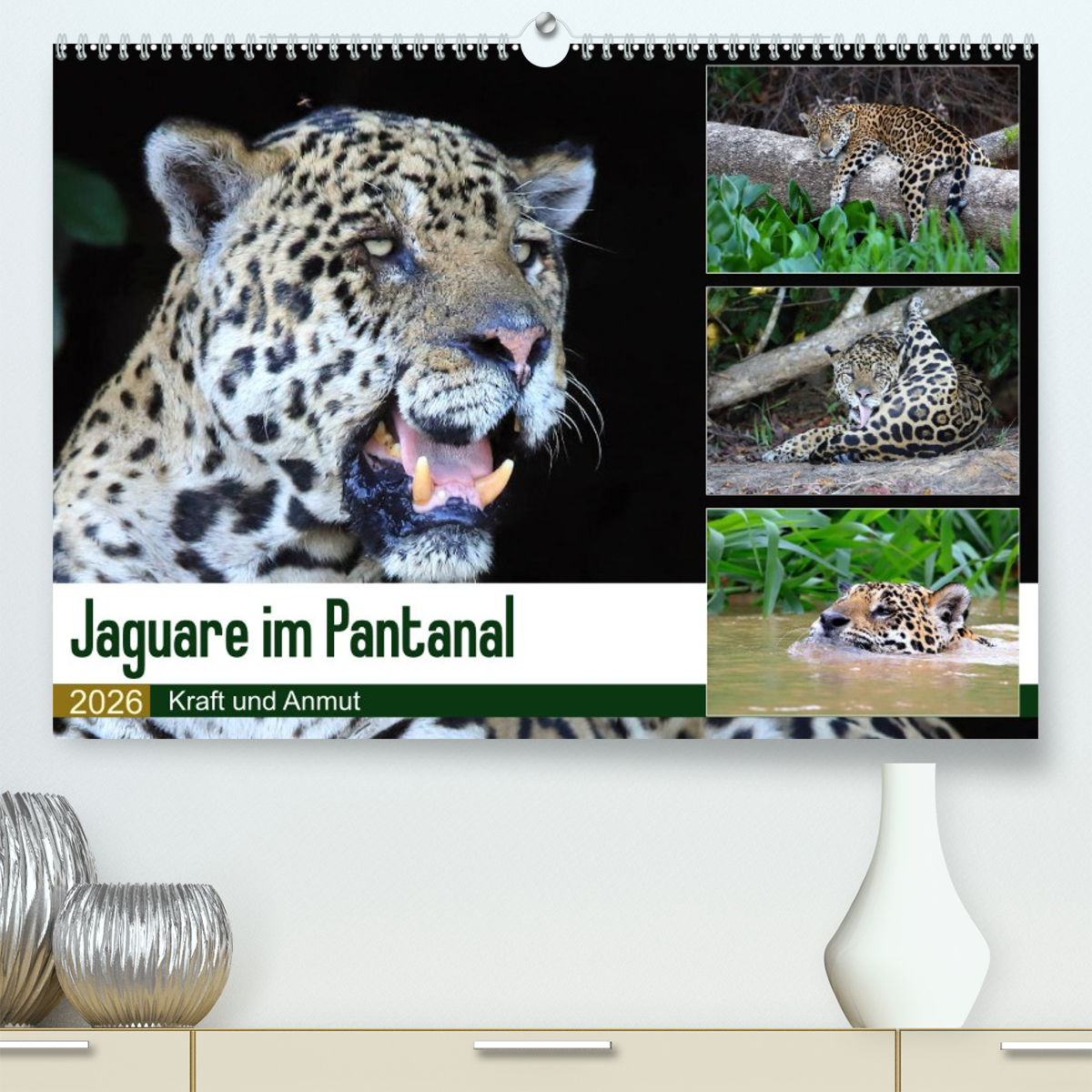 Jaguare im Pantanal