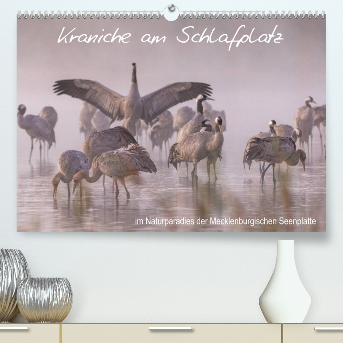 Kraniche am Schlafplatz - im Naturparadies der Mecklenburgischen Seenplatte