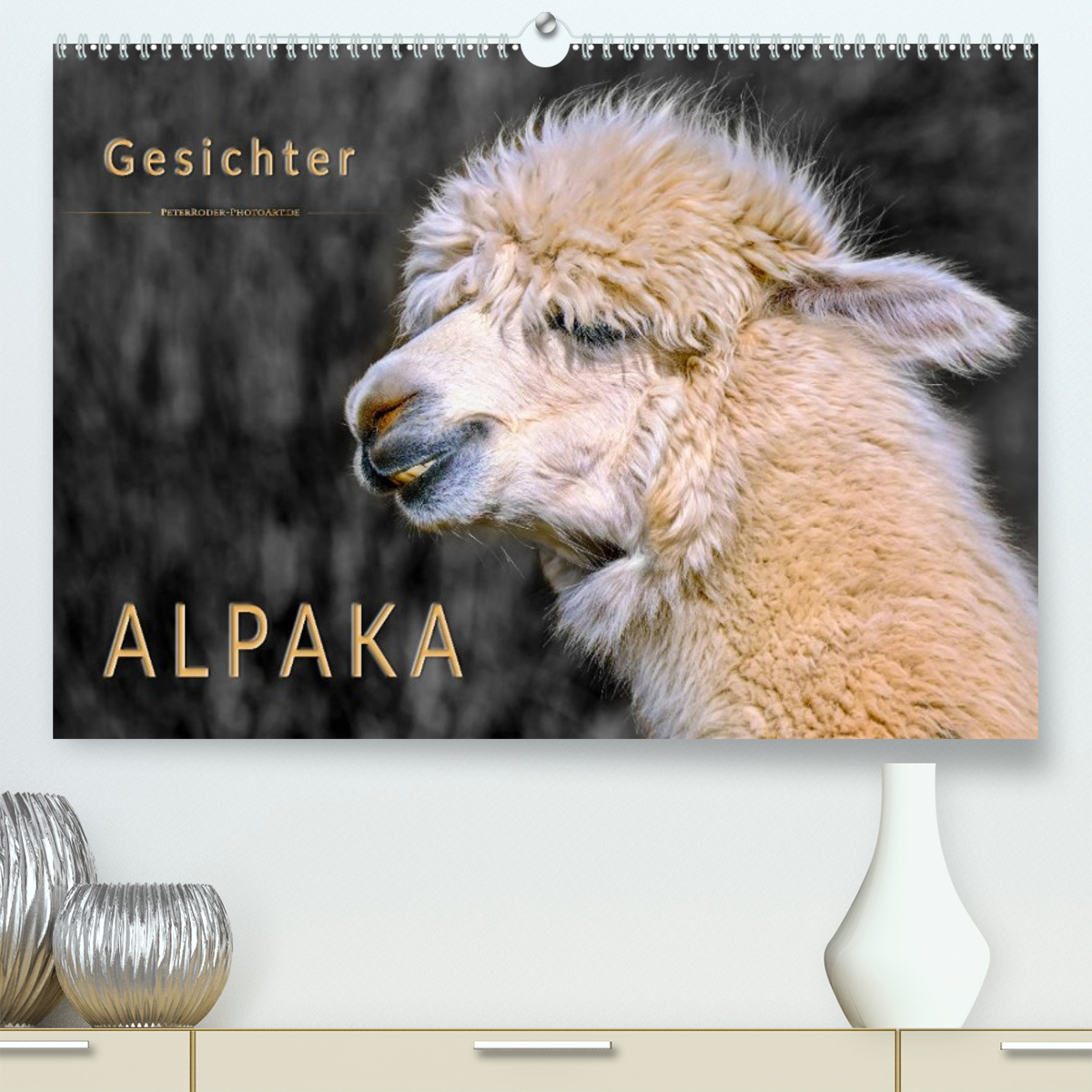 Alpaka Gesichter
