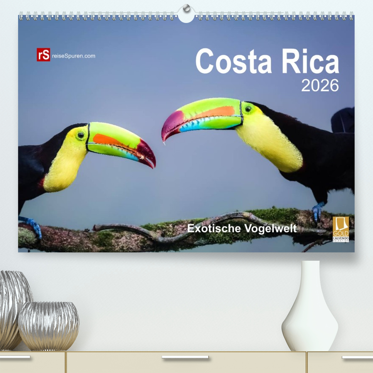 Costa Rica 2026 Exotische Vogelwelt