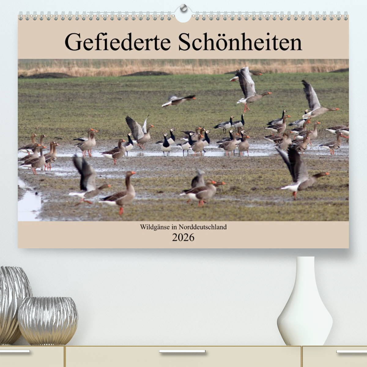 Gefiederte Schönheiten - Wildgänse in Norddeutschland