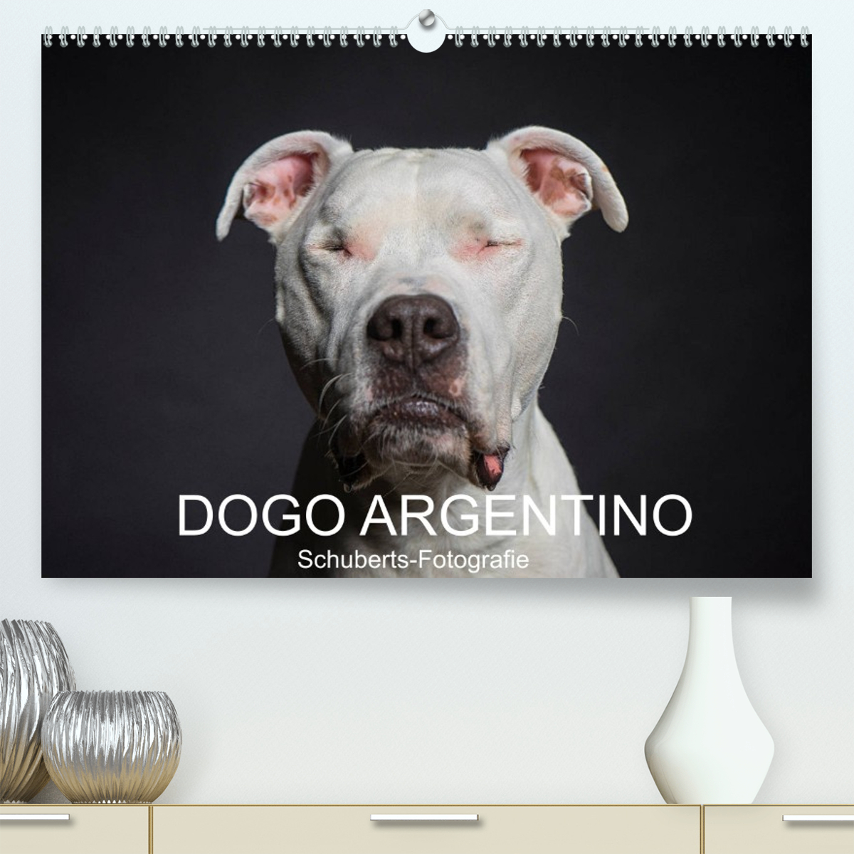 DOGO ARGENTINO