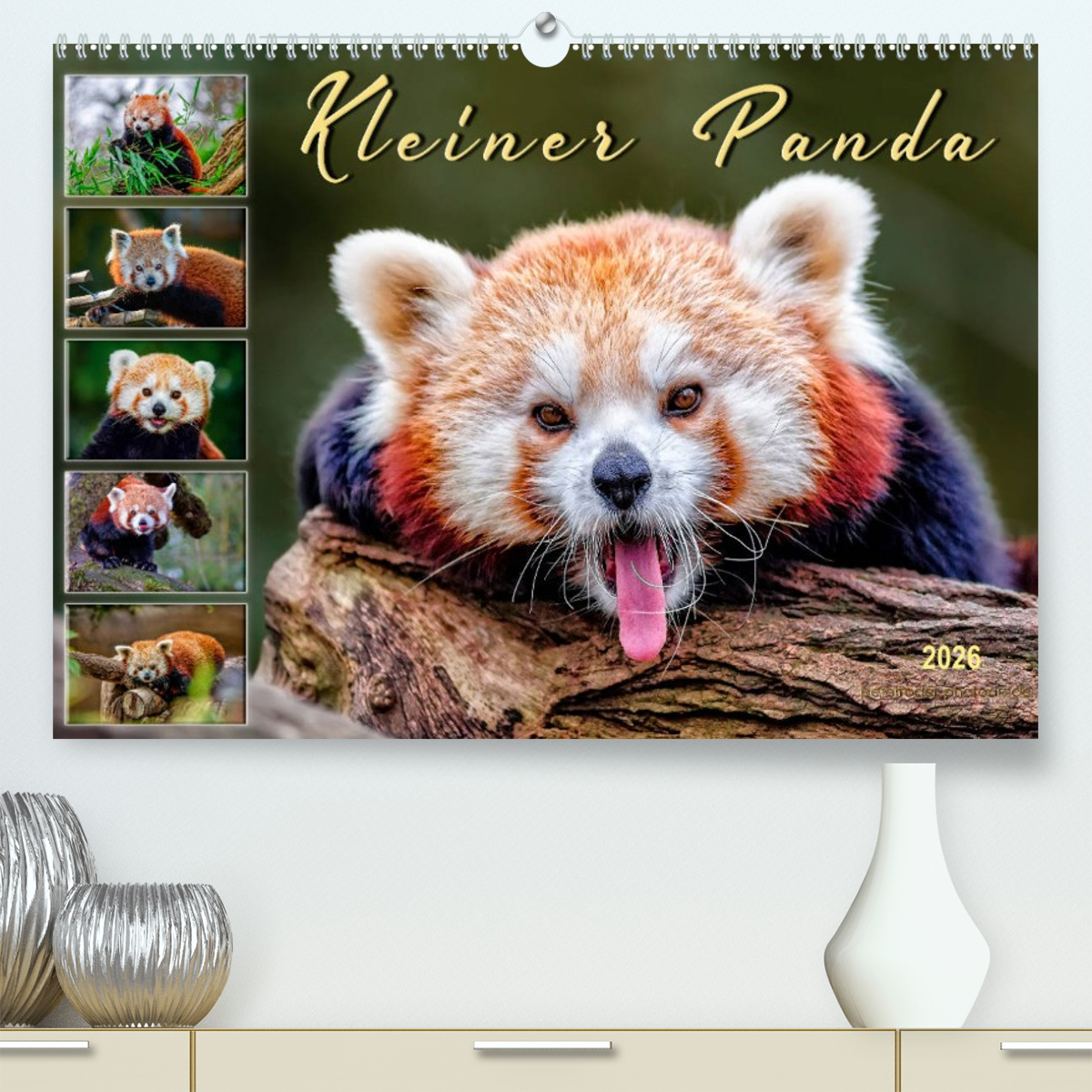 Kleiner Panda