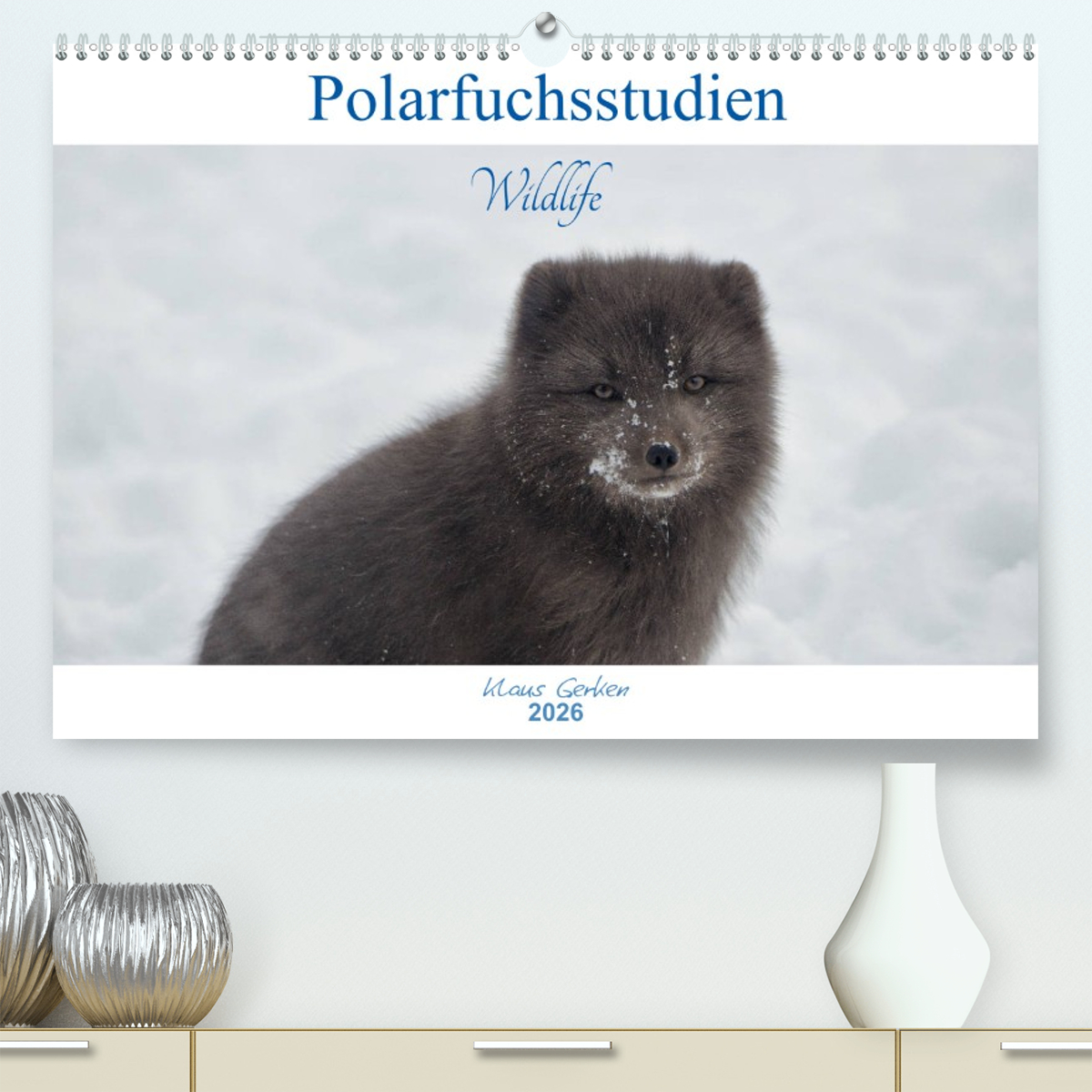 Polarfuchsstudien Wildlife