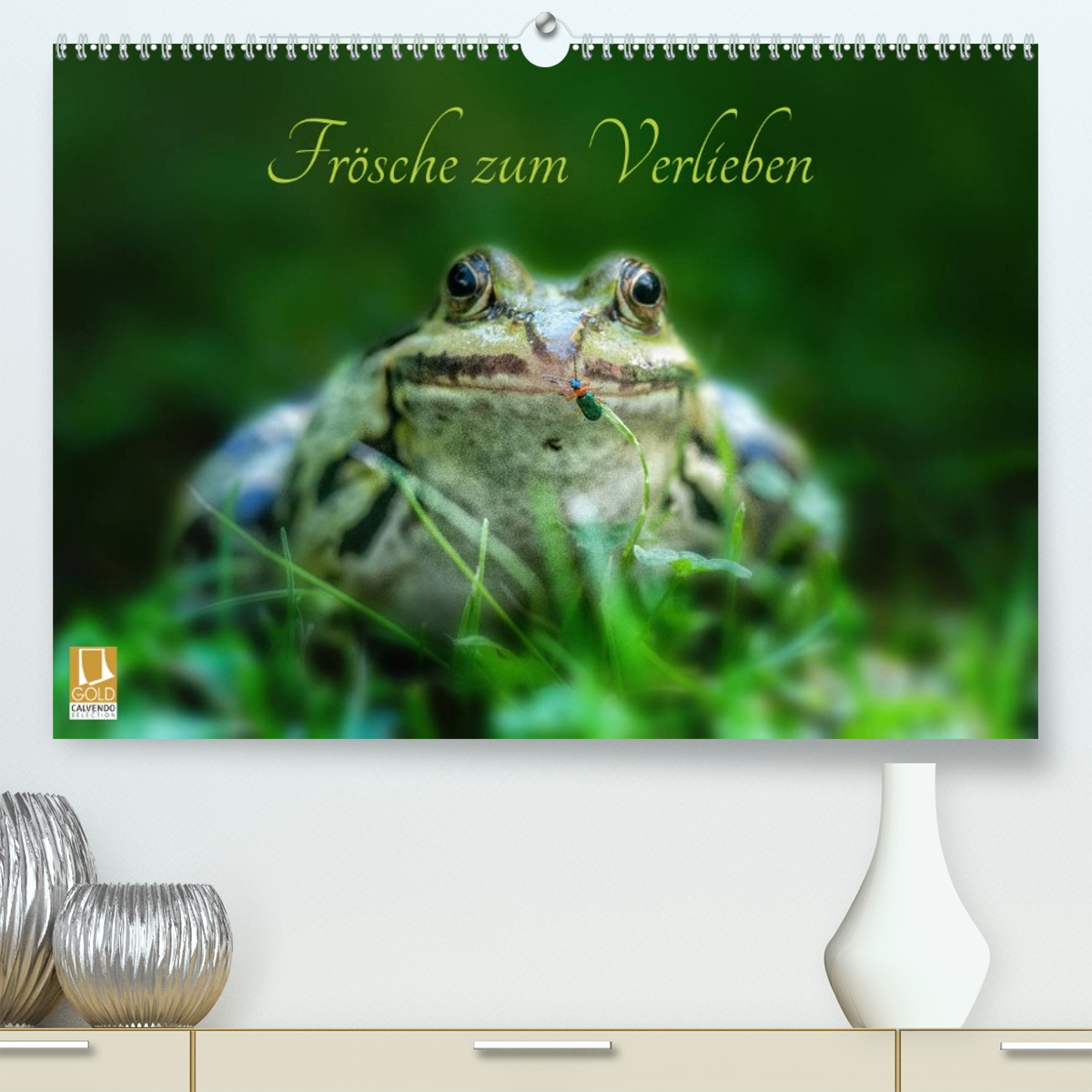 Frösche zum Verlieben