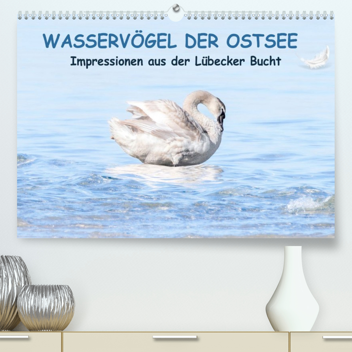Wasservögel der Ostsee - Impressionen aus der Lübecker Bucht