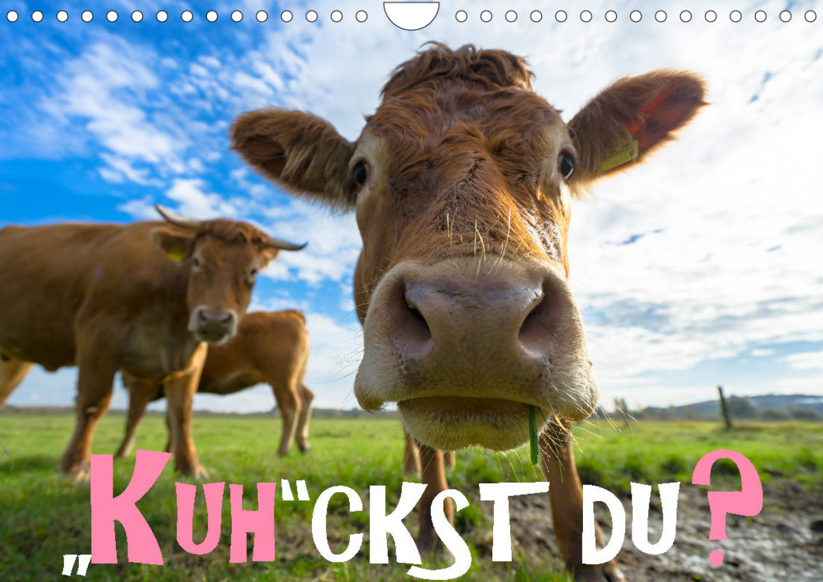 Kalender Kuhckst du?t