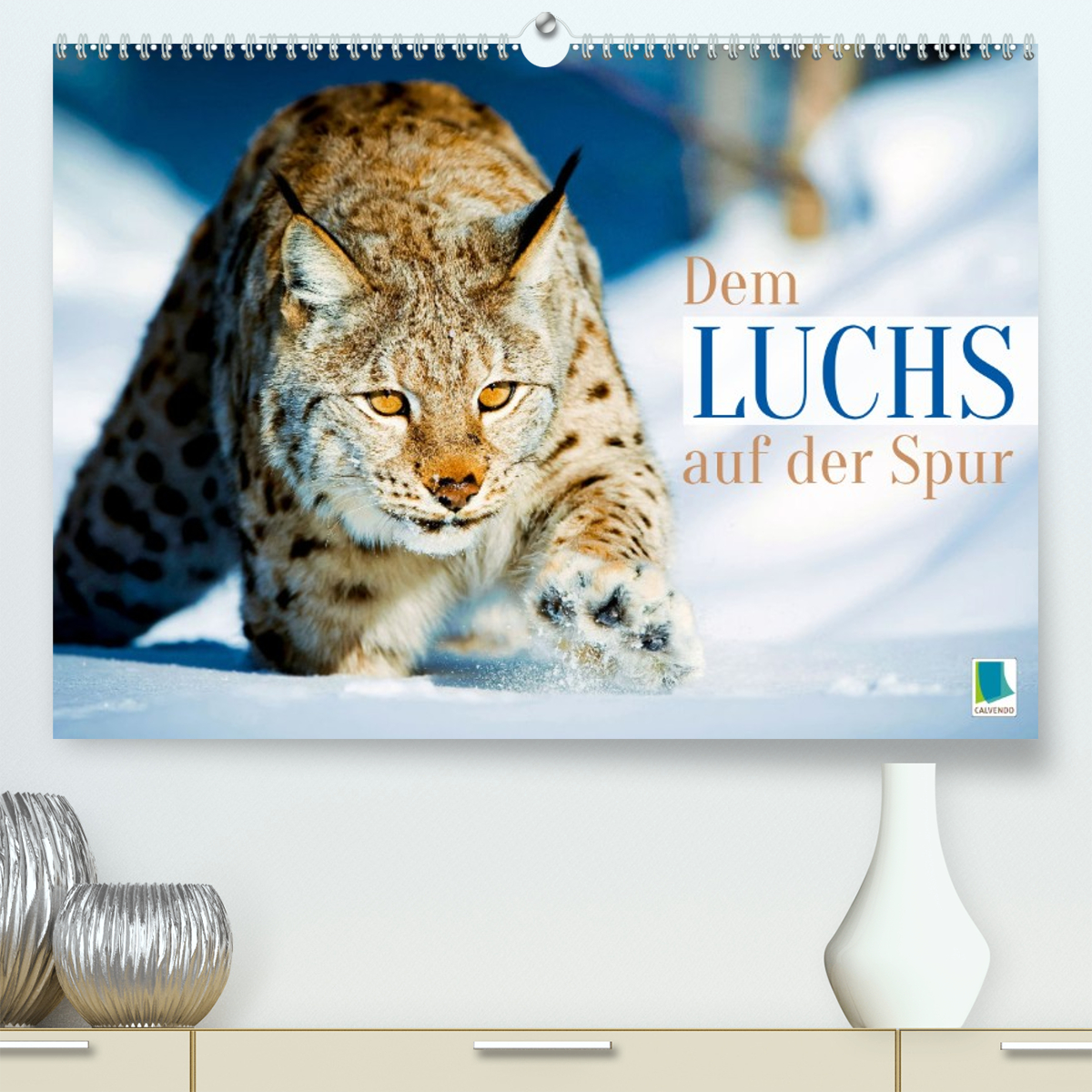 Dem Luchs auf der Spur
