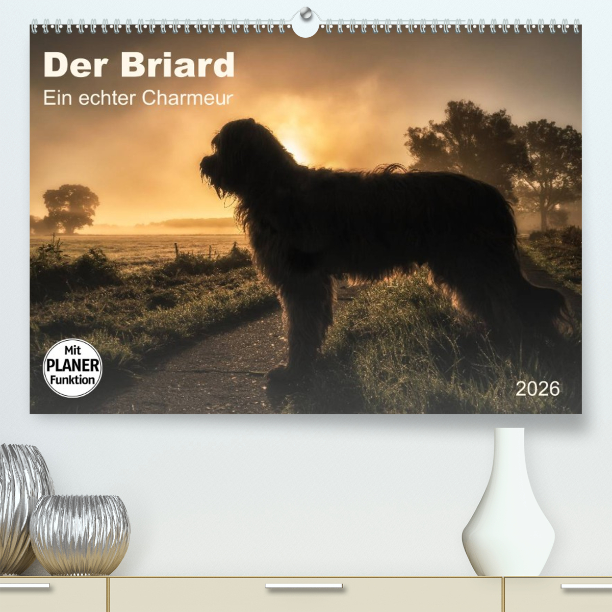 Der Briard 2026 - Ein echter Charmeur
