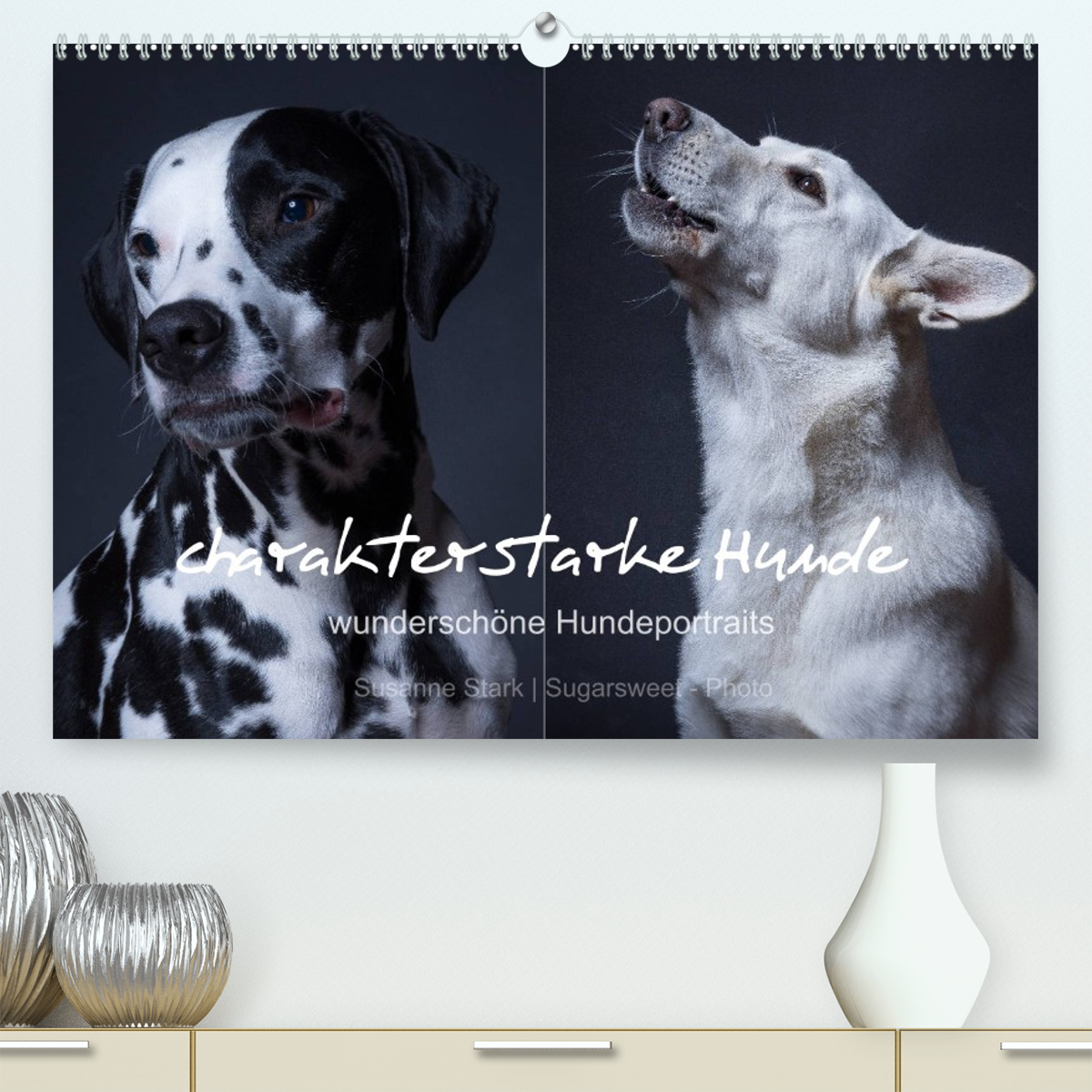 charakterstarke Hunde, wunderschöne Hundeportraits