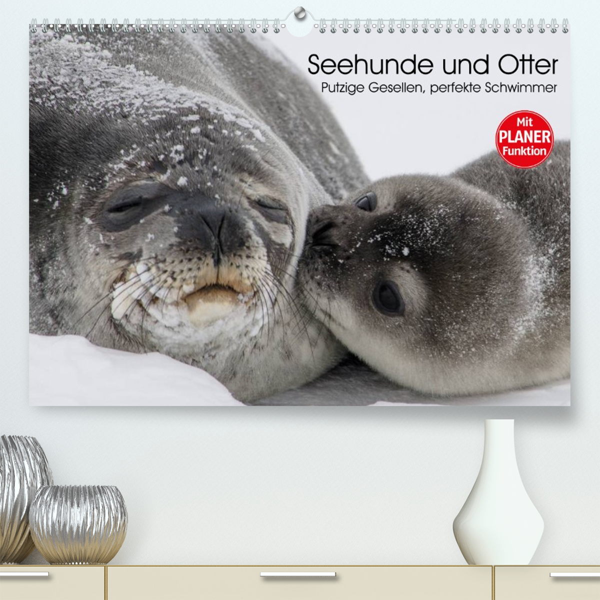 Seehunde und Otter. Putzige Gesellen, perfekte Schwimmer
