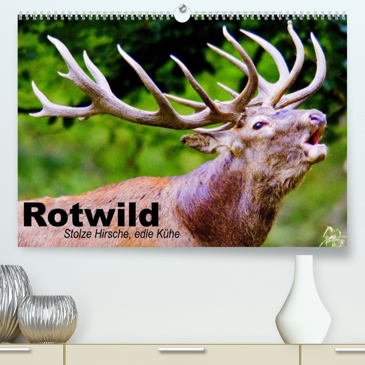 Rotwild. Edle Hirsche, stolze Kühe