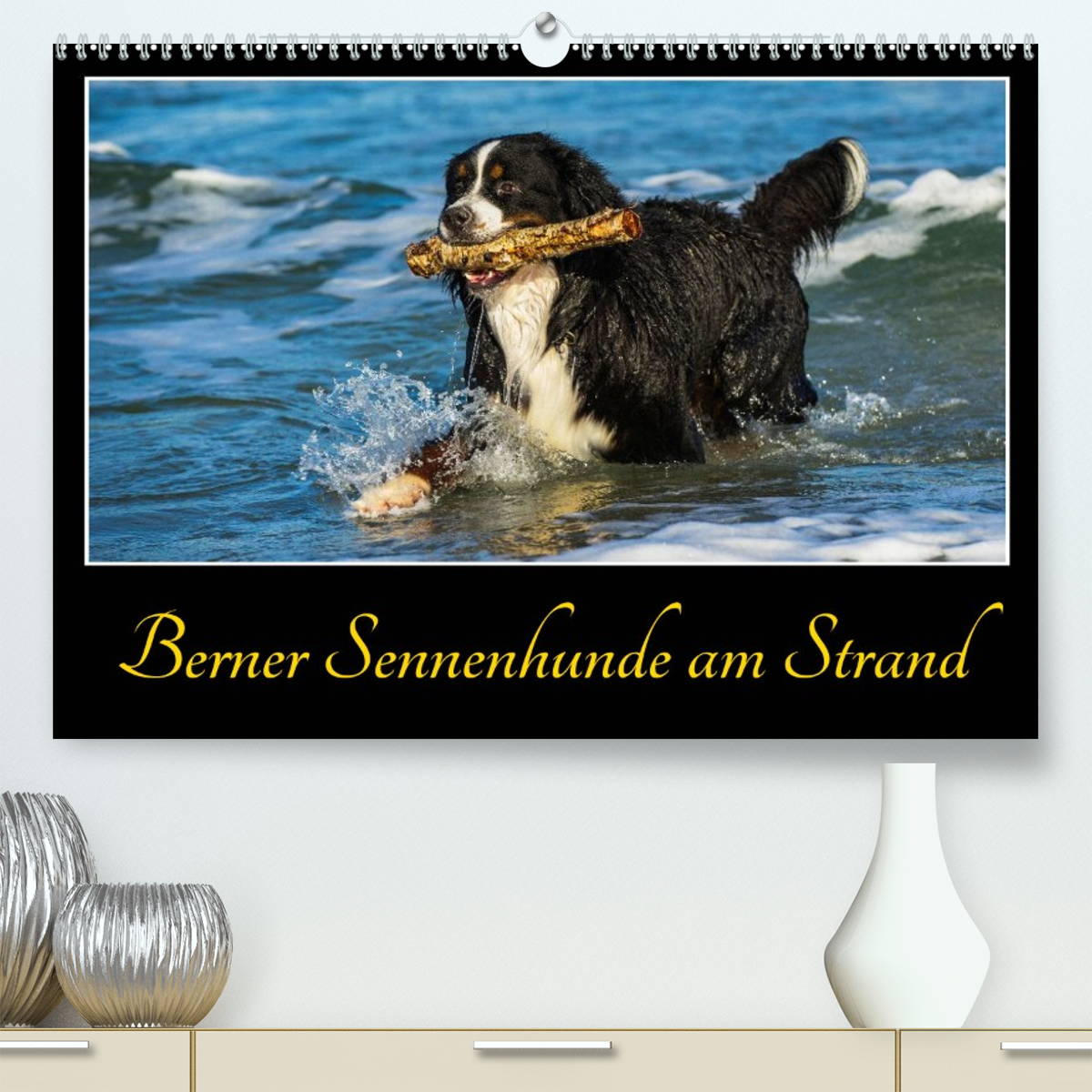 Berner Sennenhunde am Strand