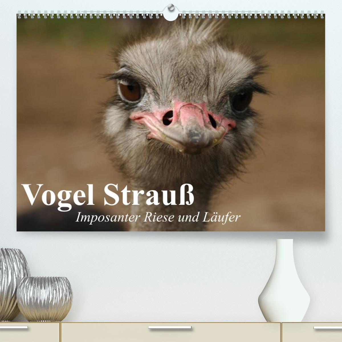 Vogel Strauß. Imposanter Riese und Läufer