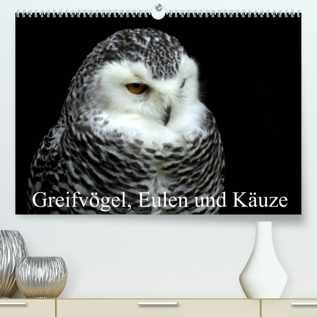 Greifvögel, Eulen und Käuze