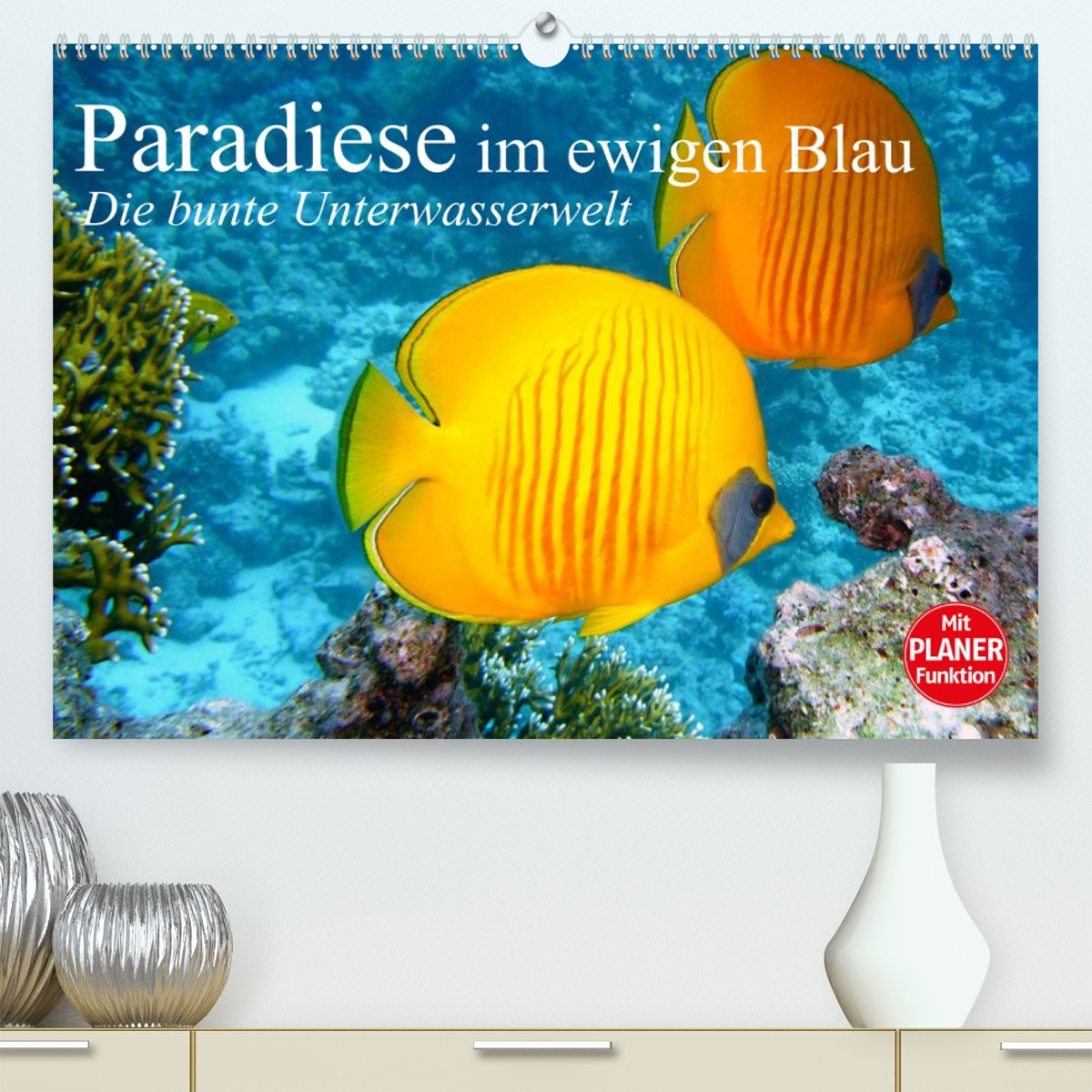 Paradiese im ewigen Blau. Die bunte Unterwasserwelt