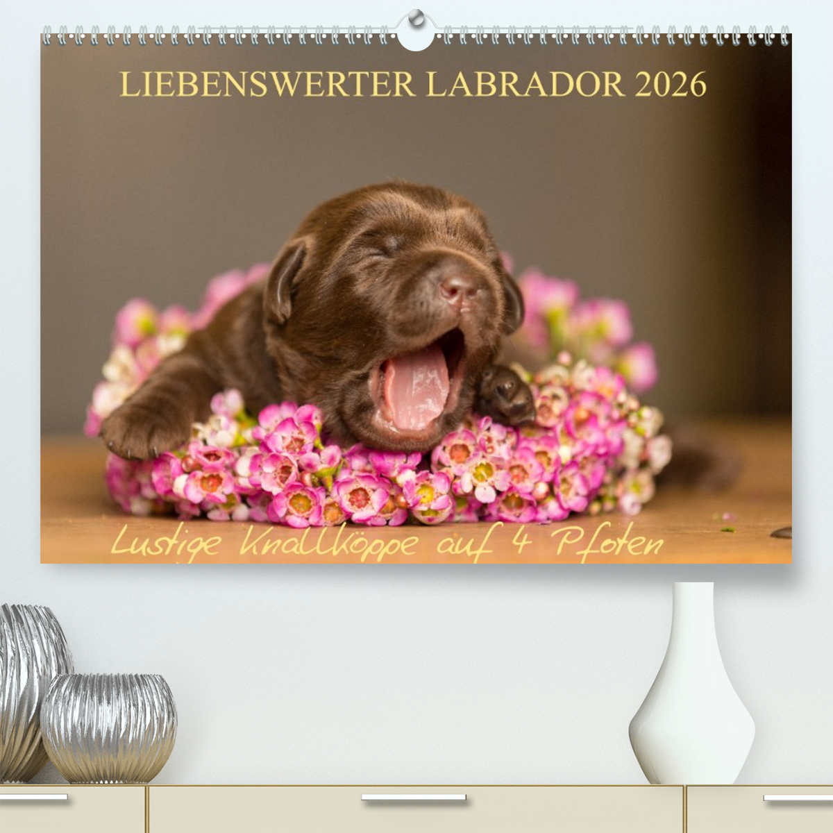 Liebenswerter Labrador 2026