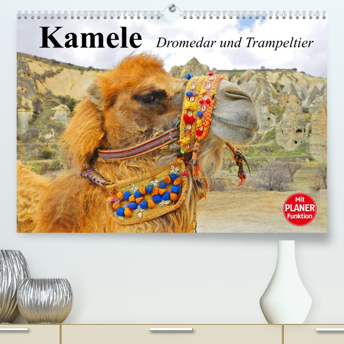 Kamele. Dromedar und Trampeltier