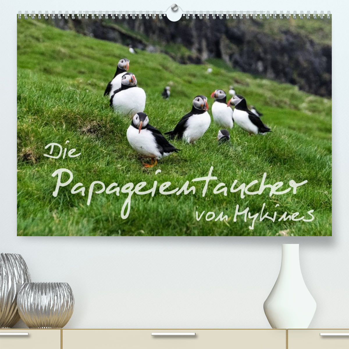 Die Papageientaucher von Mykines
