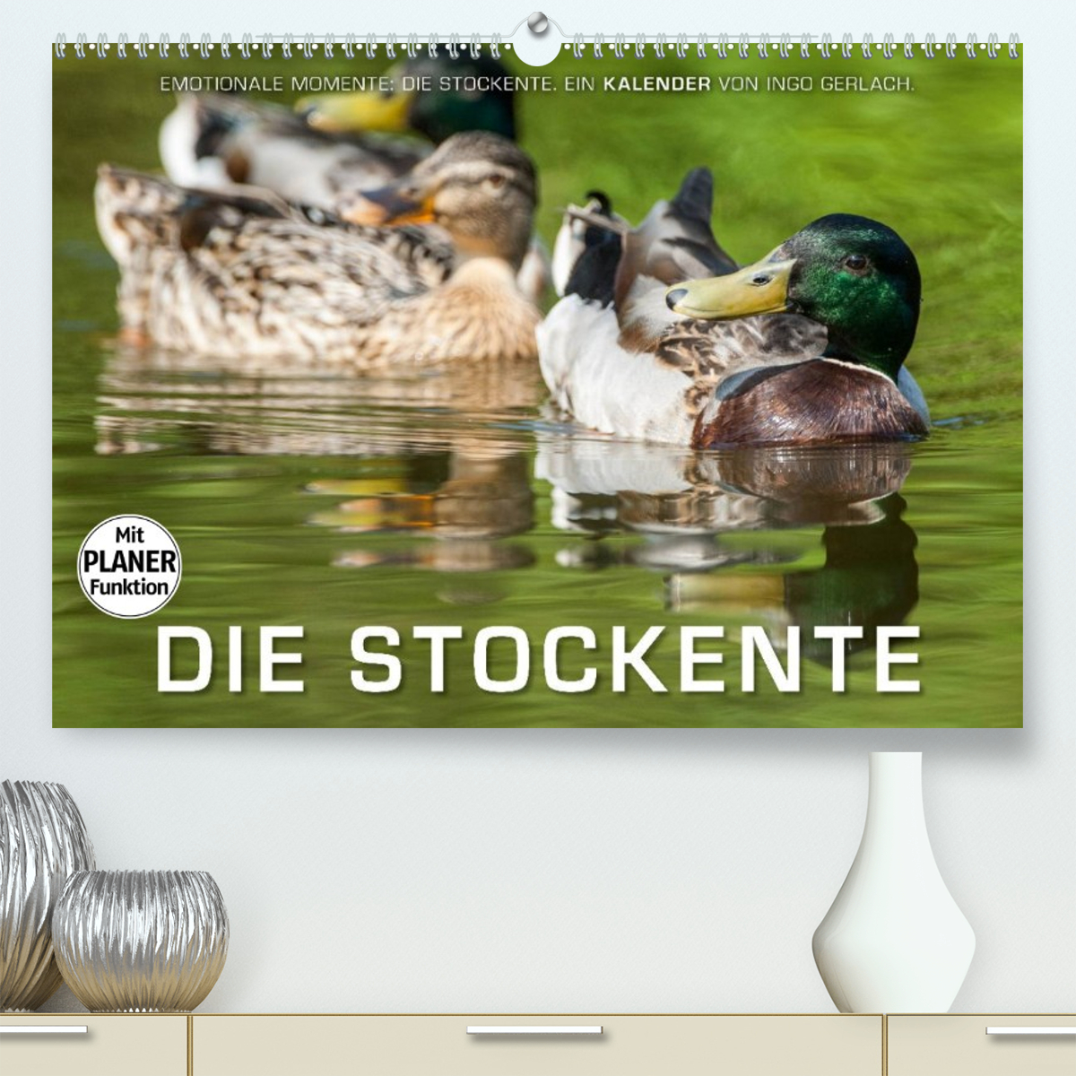 Emotionale Momente: Die Stockente.
