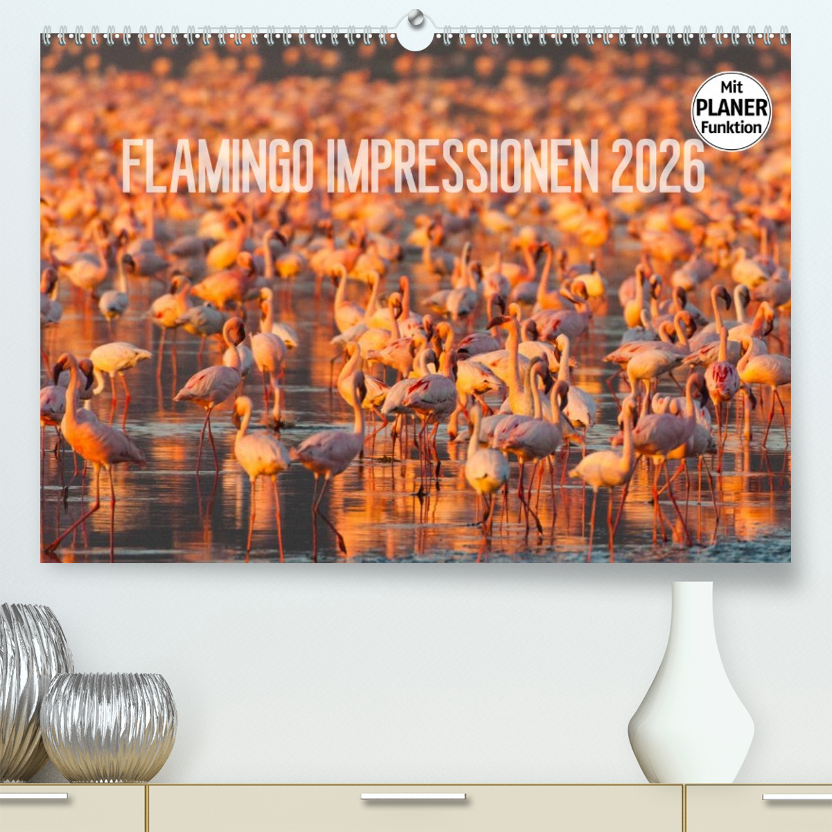Flamingo Impressionen 2026