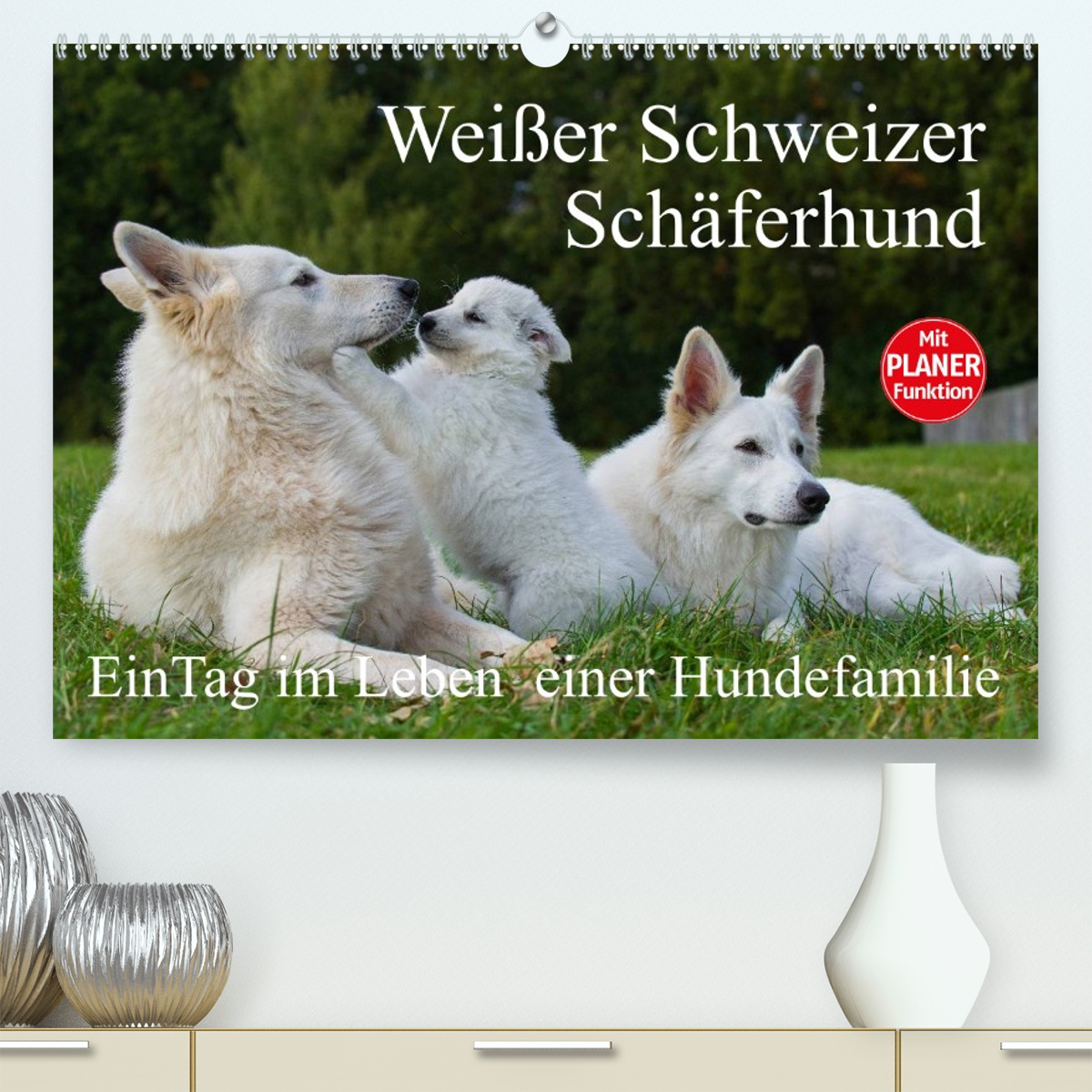 Weißer Schweizer Schäferhund - Ein Tag im Leben einer Hundefamilie