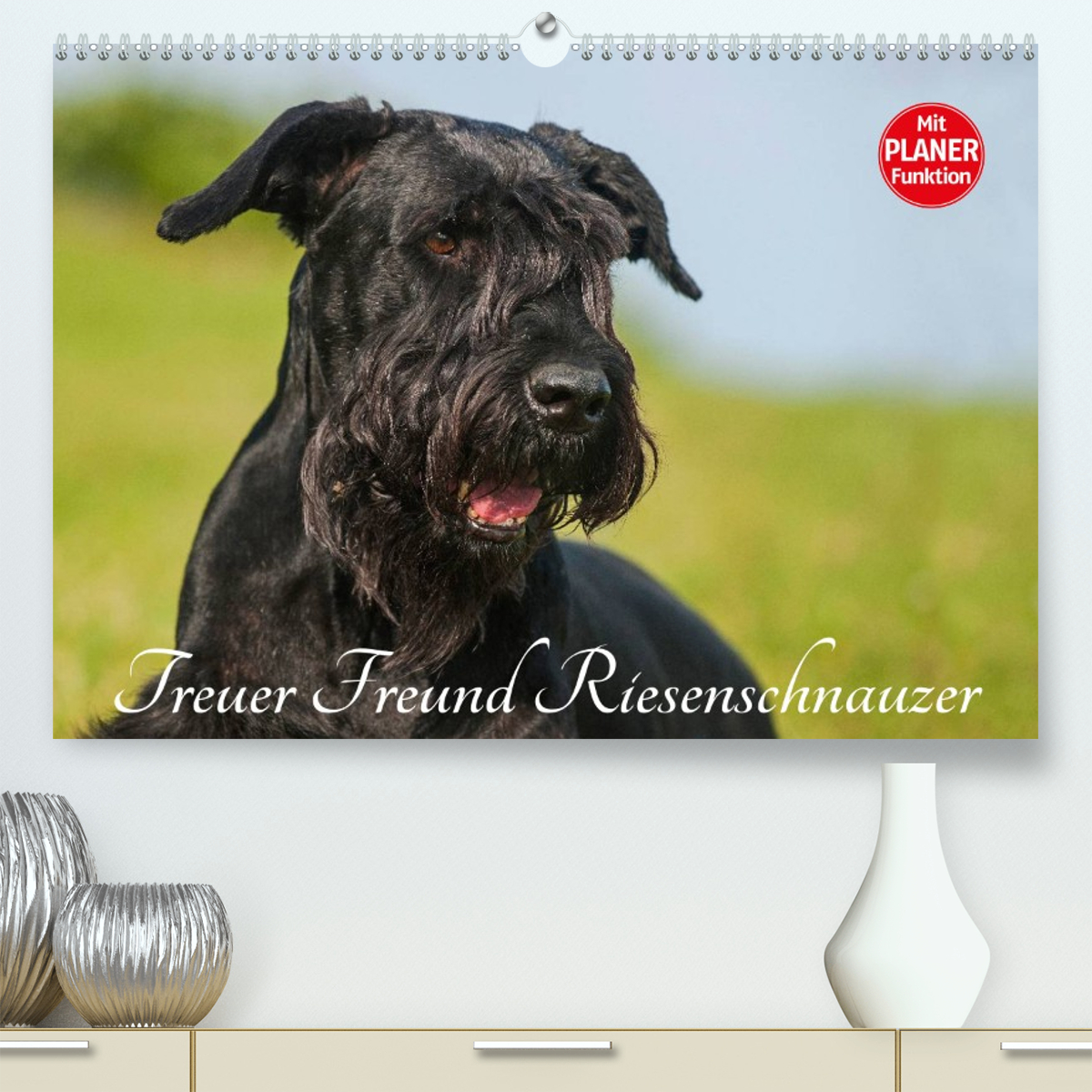 Treuer Freund Riesenschnauzer
