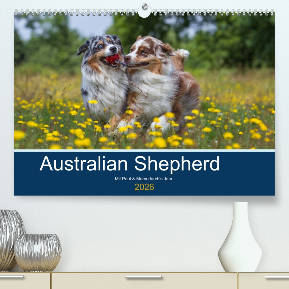 Australian Shepherd 2026