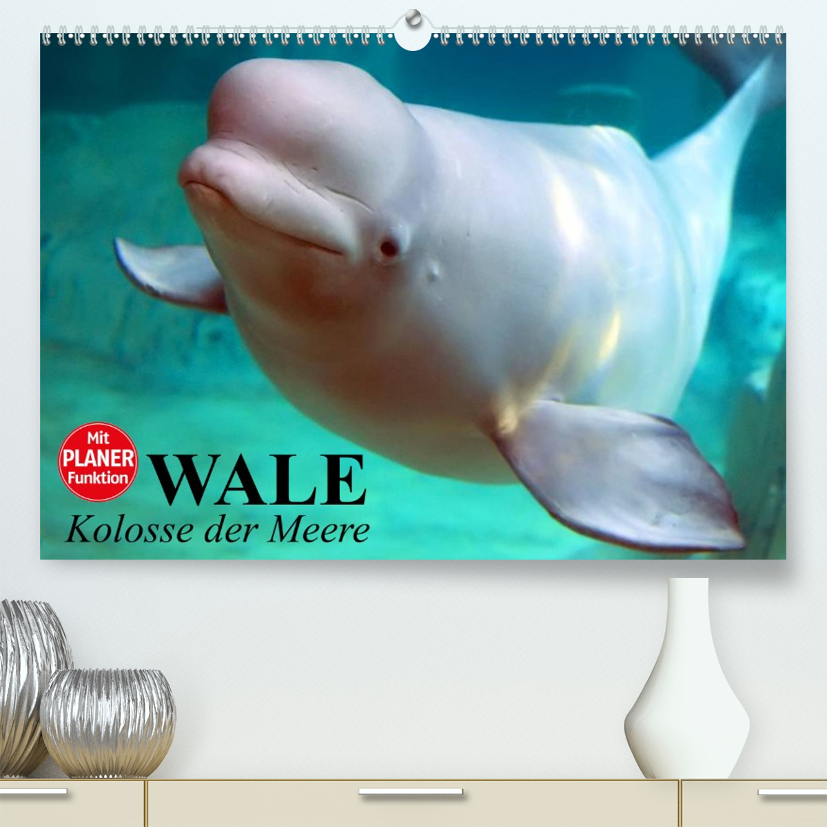 Wale. Kolosse der Meere