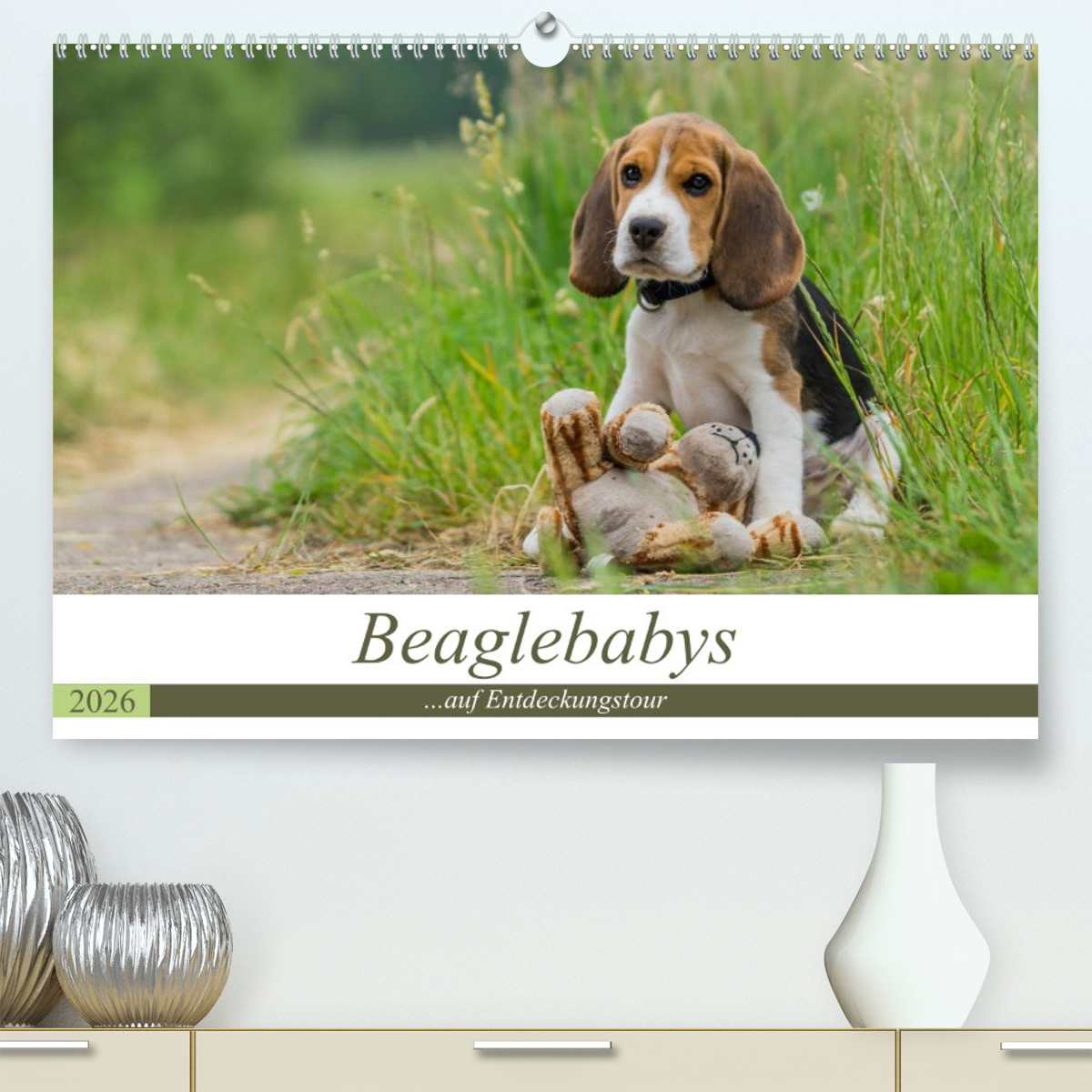 Beaglebabys auf Entdeckungstour
