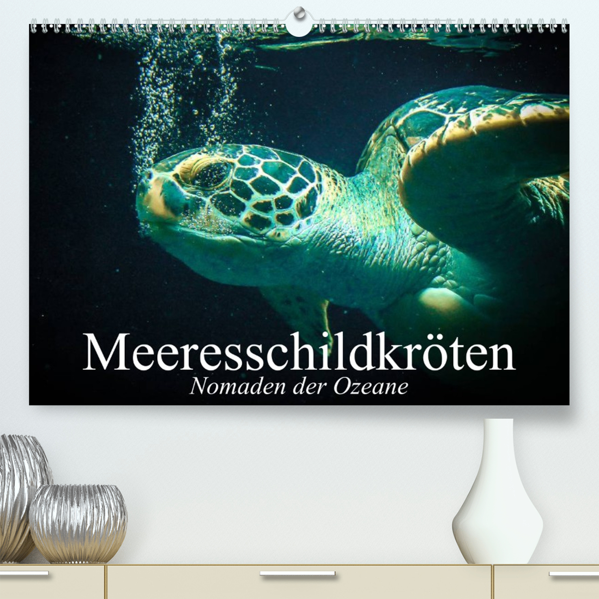 Meeresschildkröten. Nomaden der Ozeane