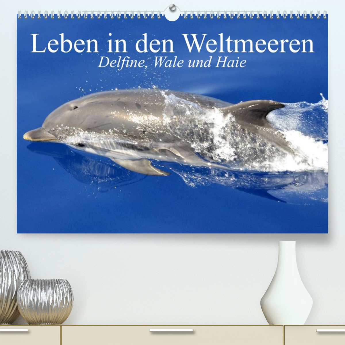 Leben in den Weltmeeren. Delfine, Wale und Haie