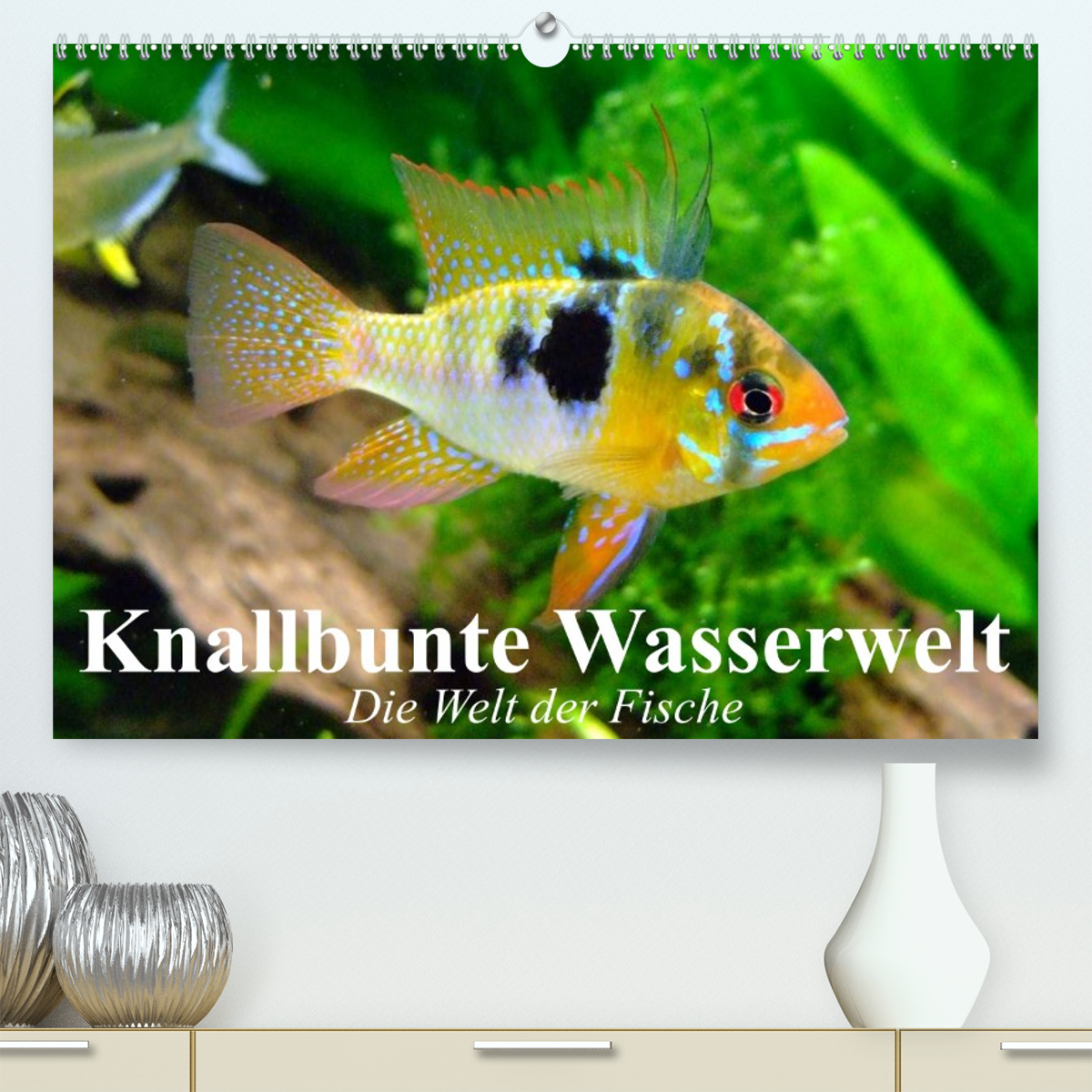 Knallbunte Wasserwelt. Die Welt der Fische