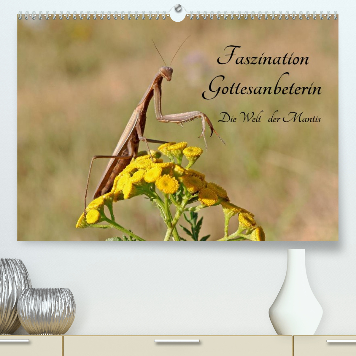 洋書 MANTODEA Gottesanbeterinnen der Welt Mantodea: Gottesanbeterinnen der Welt by Ehrmann, R.