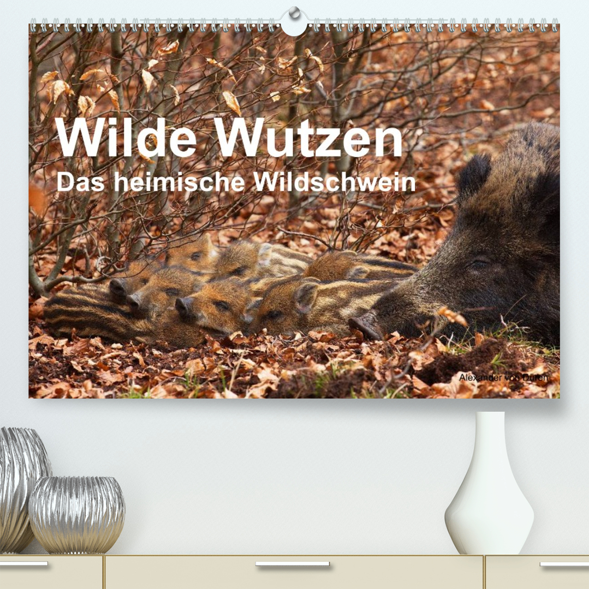 Wilde Wutzen. Das heimische Wildschwein