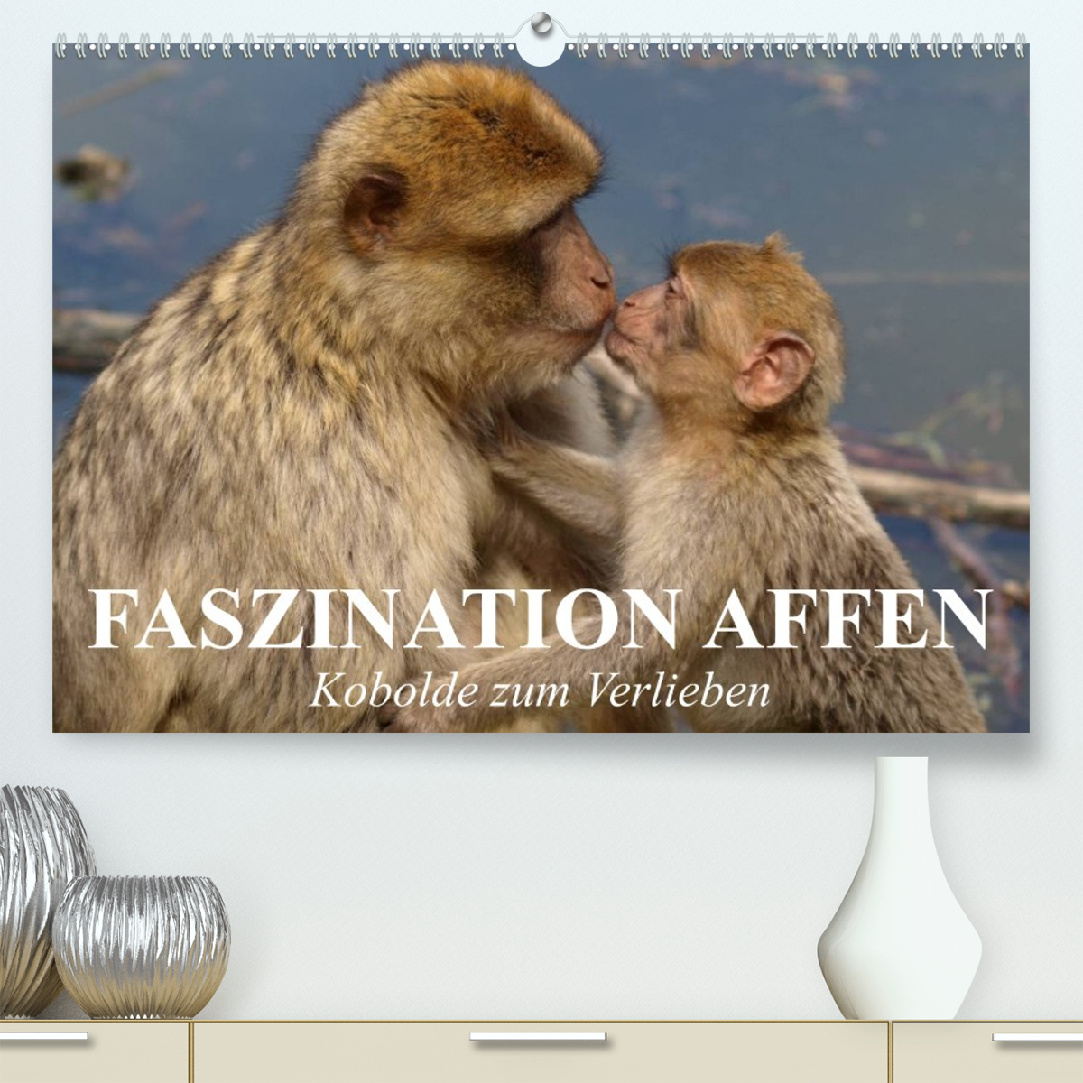 Faszination Affen. Kobolde zum Verlieben