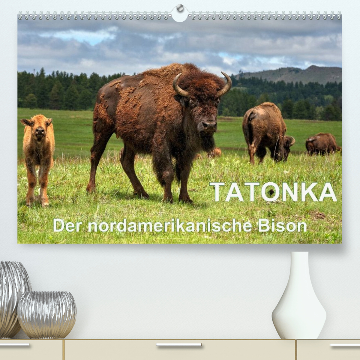 TATONKA Der nordamerikanische Bison