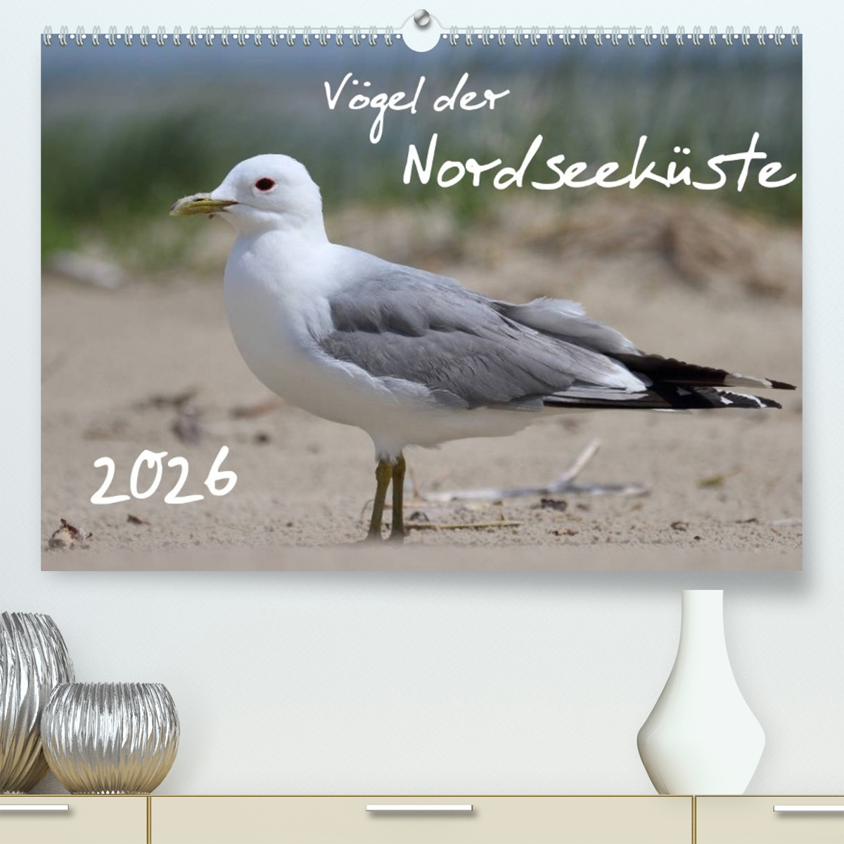 Vögel der Nordseeküste