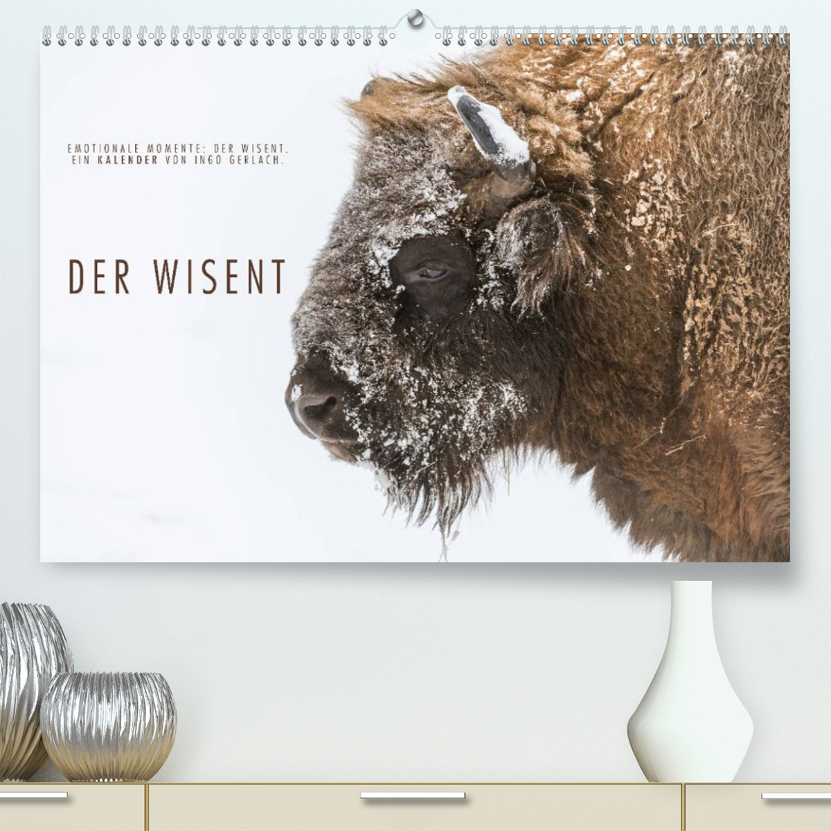 Emotionale Momente: Der Wisent.