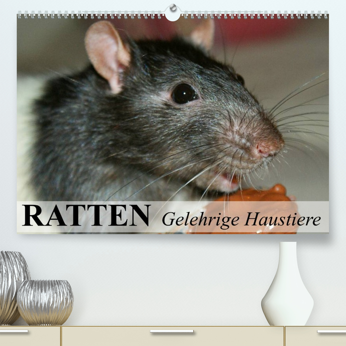 Ratten - Gelehrige Haustiere