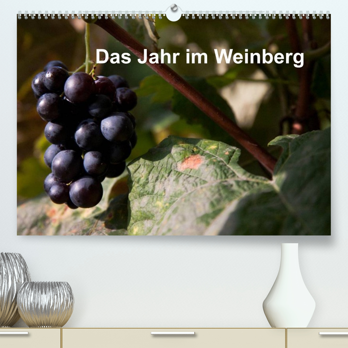 Das Jahr im Weinberg