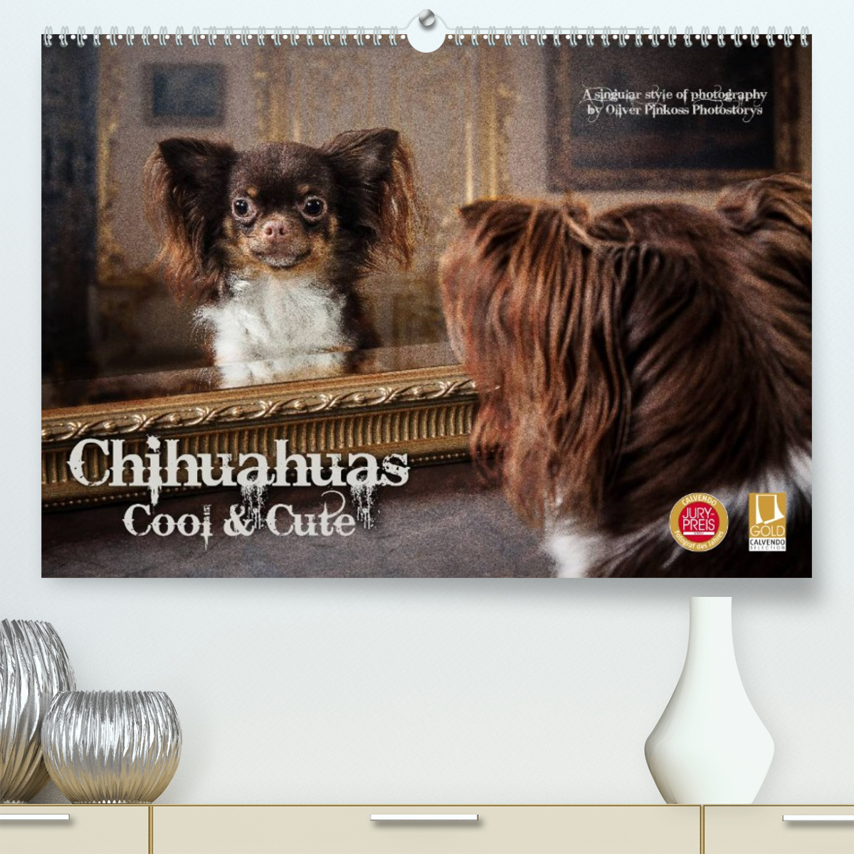 Chihuahuas - Cool and Cute