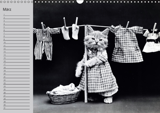 Cat Kitten Laundry Photo Poster 1914 Hanging Up The Wash 