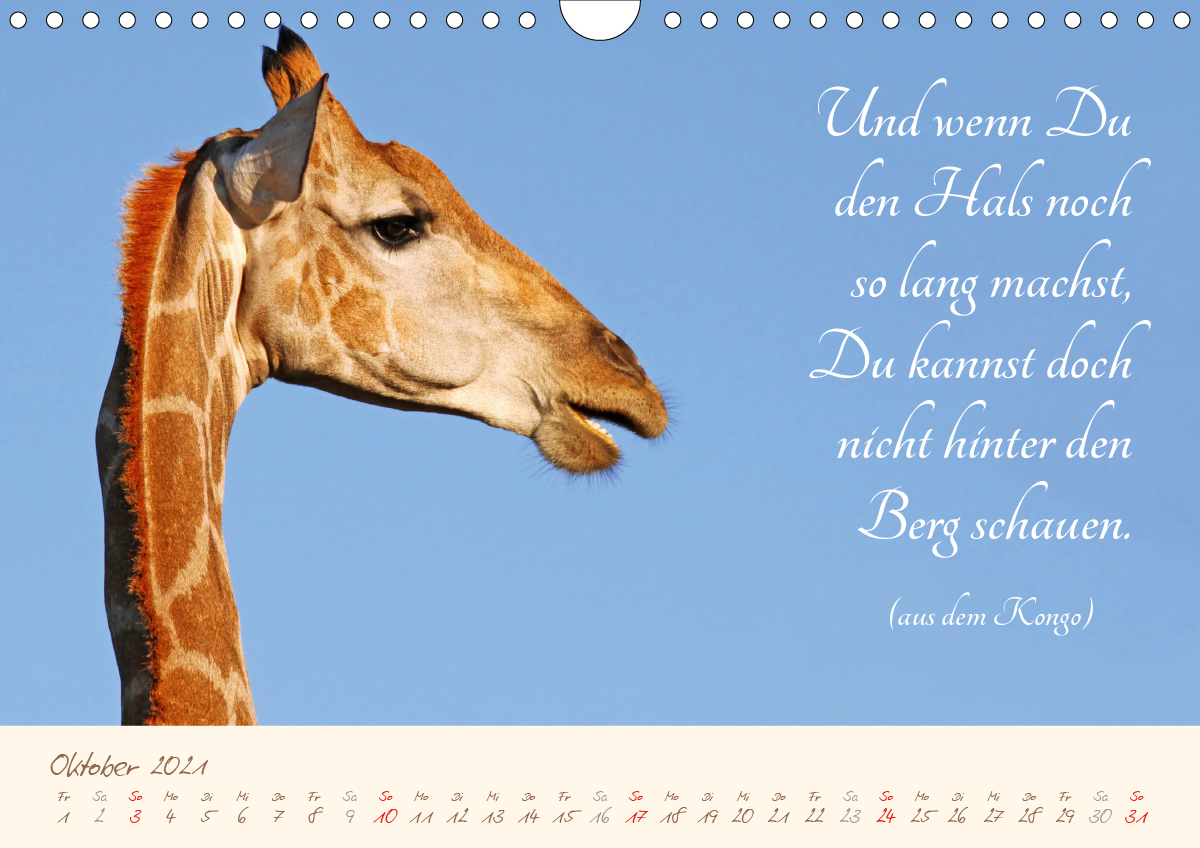 AFRIKA mit einem Hauch von Poesie CALVENDO